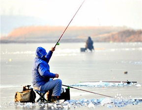 冬季江河海杆钓鲤鱼怎样钓