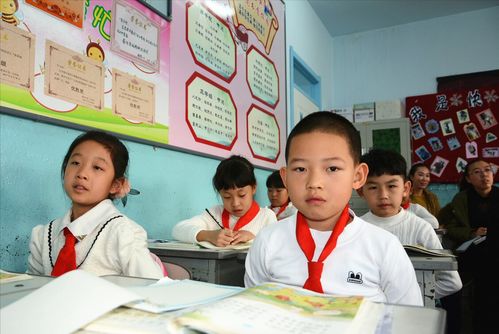 在辅导机构辅导小学，上课24天1000元工资，自己辅导20个学生作业和预习新课，压力很大怎么办