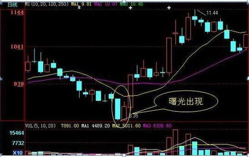 公司上市后第一天开盘的股票价格是之前定好的吗