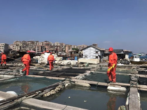 湖南人在泉州泉港区的多吗，那些镇要多一些，泉港区除了化工厂，其他什么厂比较多