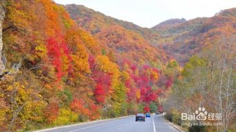 本溪旅游攻略探寻枫叶之都的绝美风光，玩转山水间