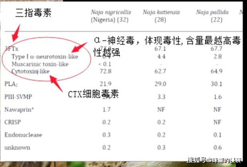 平头哥真正无所畏惧的原因,竟然和胆子大小没关系,问题在眼睛上