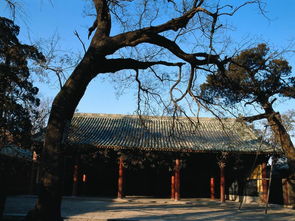中国古建筑建筑文化遗址大殿宫殿图片素材 模板下载 8.98MB 其他大全 背景 