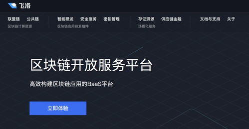 网链科技验证码是干嘛的,什么是网链科技验证码? 网链科技验证码是干嘛的,什么是网链科技验证码? 币圈生态