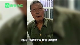 算命 还是 算钱 起底网络占卜的底层逻辑