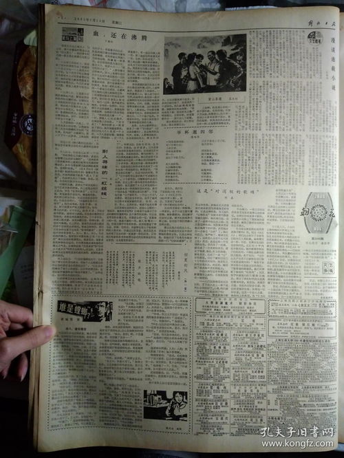1981年7月15 解放日报 