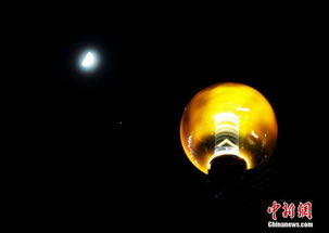 维港天空上演 木星合月