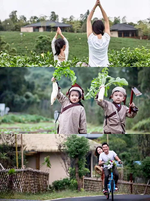 这个季节去哪玩最合适 (这季节去哪里玩比较好)