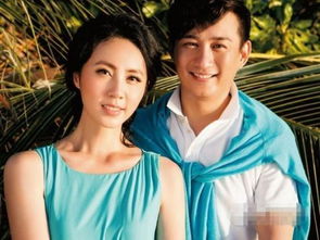 那些将老婆宠成公主的男星,黄晓明最豪,而他却最暖心