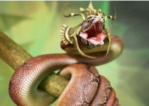 传说中世界上年龄最大的蛇 绿茸线蛇 