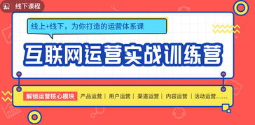 查重真赚钱实战：案例分享与经验总结