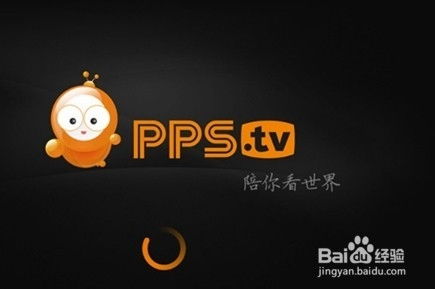 下载pps网络电视