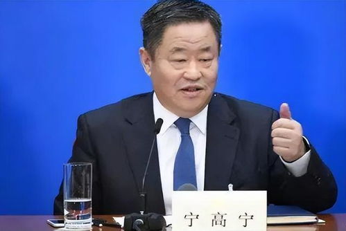  富邦集团董事长宋海平,宁波富邦控股集团有限公司的领军人物 天富官网