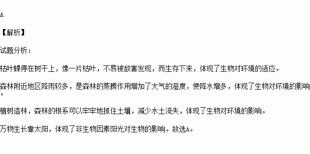 我已重写您的标题：布朗-见证我巅峰状态的动力是失败