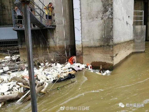 昨晚藤县津北男子游泳失踪,今早在梧州长洲大坝神奇生还 