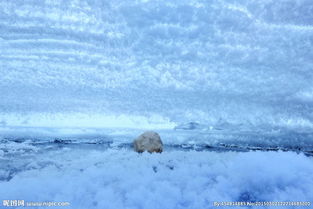 奥林匹克公园雪景图片 