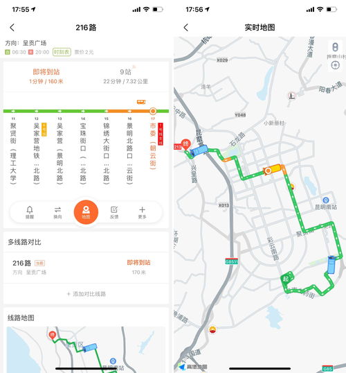 乐亭限号2024,遵化限号查询最新消息