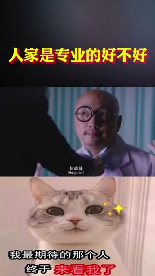 人家是专业的好不好 