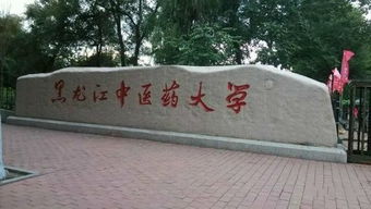 黑龙江中医药大学排名,黑龙江中医药大学在省内的排名
