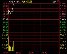 万科A这支股票怎么样