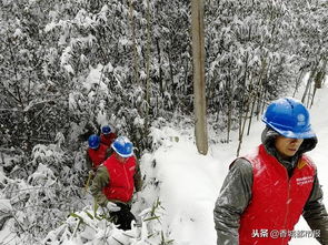 为林区群众温暖渡冬提供充足电力保障 咸宁供电战斗在竹海雪原