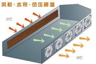 你知道机房水帘新风过滤节能系统是怎么样的 