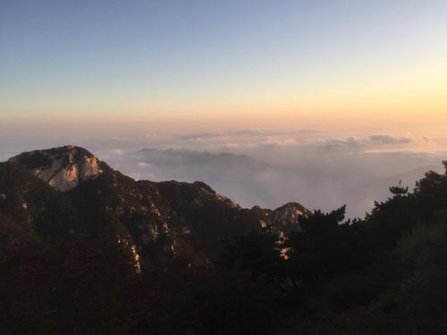 泰山 泰山成人票 万仙楼 泰山 真的太棒了 驴妈妈点评 