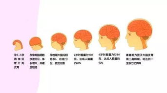 抓住黄金期,提高宝宝智力有方法 超实用 