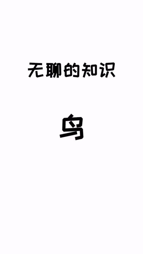 其实,鸟这个字是个多音字 脑洞大开的冷知识 