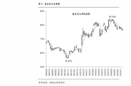 长百集团这只股票怎样