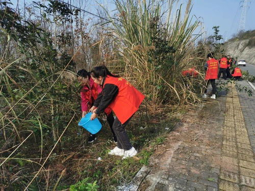 植树节 趁春色正好,我们结伴一起去植树