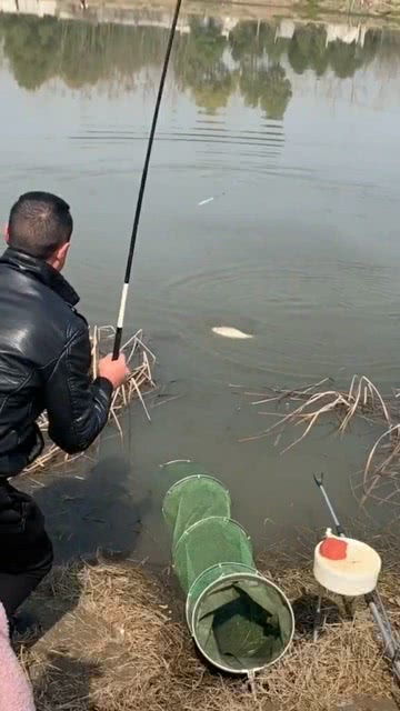 钓到了一条大鲤鱼,在水面上蹦哒了好久 