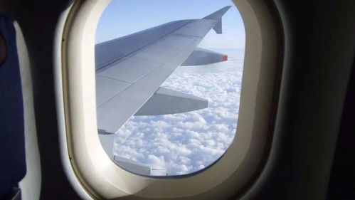 飞机窗户上竟然有个小洞 难道是窗户破了