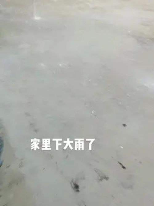 家里下大雨了 