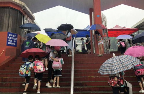 没穿雨衣就淋雨 江苏一小学不让打伞进校,网友反称家长太矫情