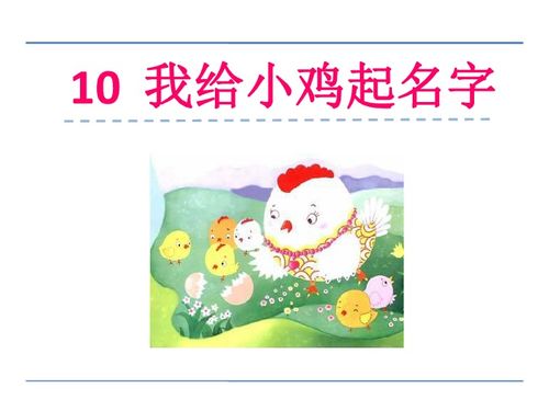 认字与学拼音10 我给小鸡起名字 