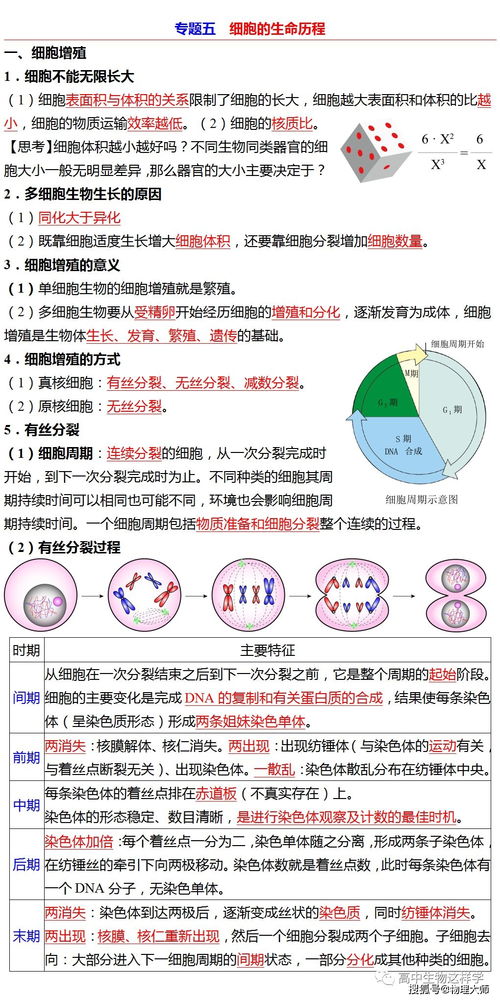 高中生物 必修1基础知识大全