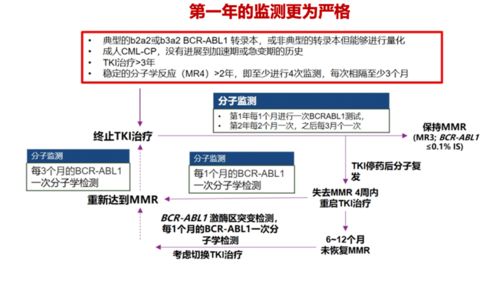 从 生存 到 生活 慢粒患者的期待与希望