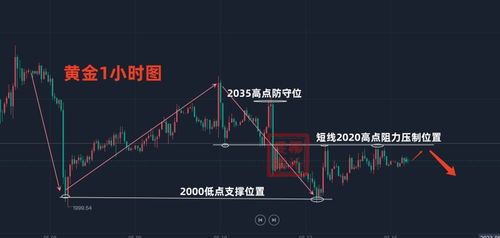 shibi最新价格走势图,市场现状