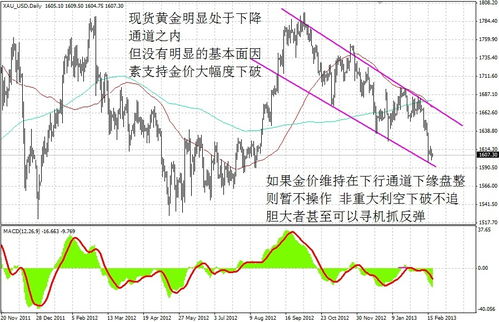 2.18 2.19黄金高清解盘 