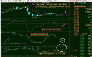 请问专家：周三沪市大盘先抑后扬走势？