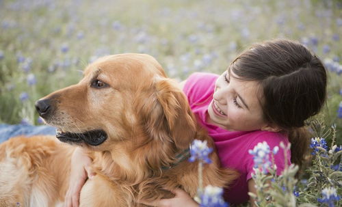 如果你想养宠物的话,心理学家建议选择 狗