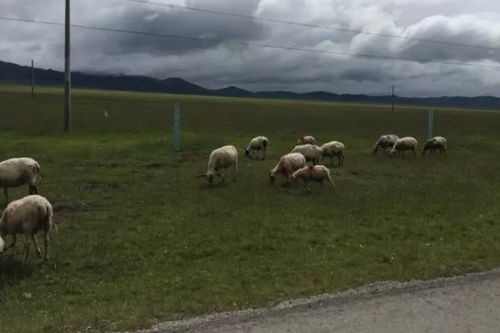 成都出发3天自驾游有哪些路线值得推荐 