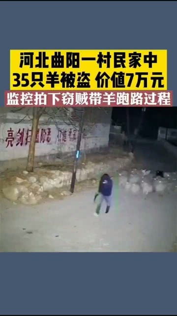 河北曲阳一村民家中35只羊被盗,价值7万元,监控拍下窃贼带羊跑路过程 