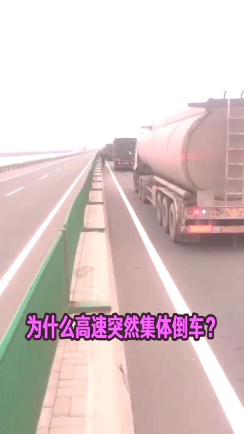 高速公路倒车算是违章吗