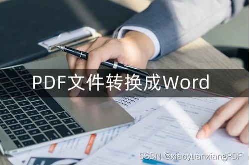 pdf如何免费转换成word-图2