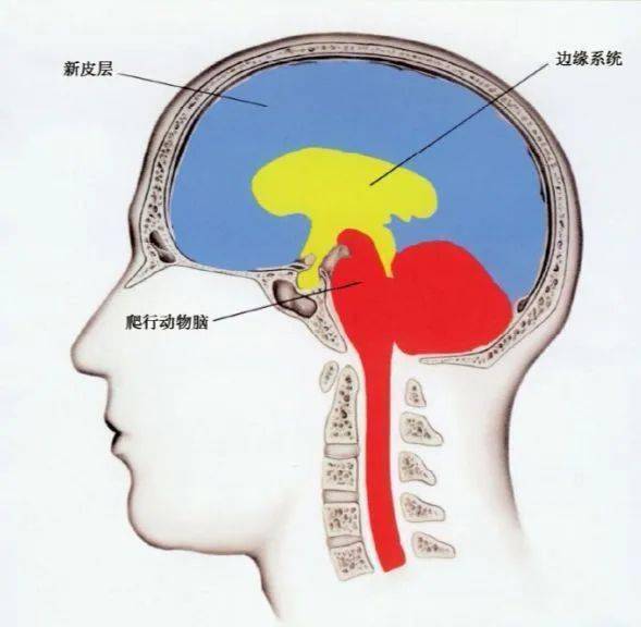 让客户快速下单的秘诀