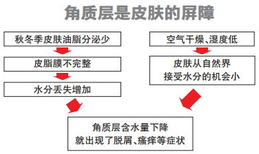 一张图教你告别秋季 痒痒症