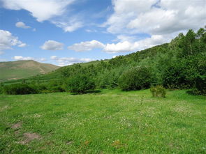 2012,丰宁坝上旅游,坝上草原撒野 含北京到坝上自驾线路