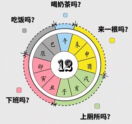 不同职场人的不同十二时辰,你是这样的吗